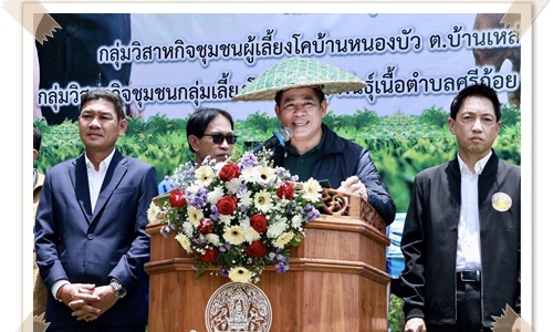✨ปศุสัตว์จังหวัดพะเยา จัดพิธีมอบโค โครงการธนาคารโค-กระบือ (เดอะคลีนิกค์) เพื่อสนับสนุนเกษตรกรในพื้นที่อำเภอแม่ใจ จังหวัดพะเยา✨