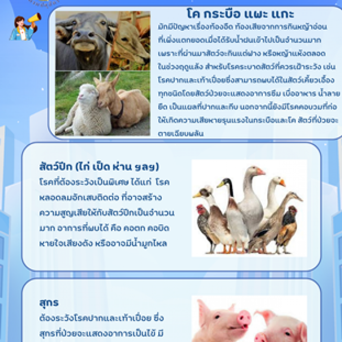 เตือนภัยในฤดูฝน
