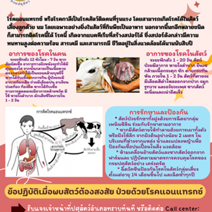 โรคแอนแทรก