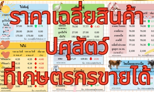 ราคาเฉลี่ยสินค้าปศุสัตว์ที่เกษตรกรขายได้