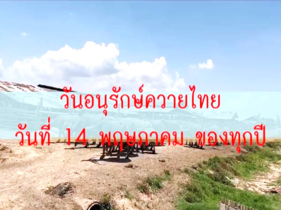 วีดีโอประชาสัมพันธ์วันอนุรักษ์ควายไทย